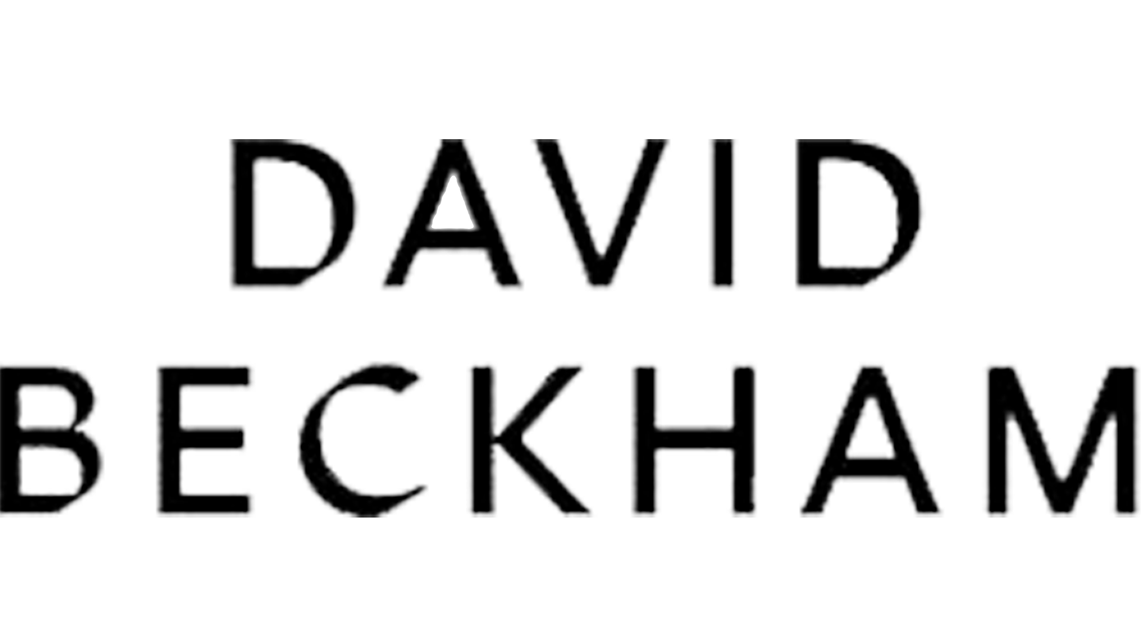 david-logo